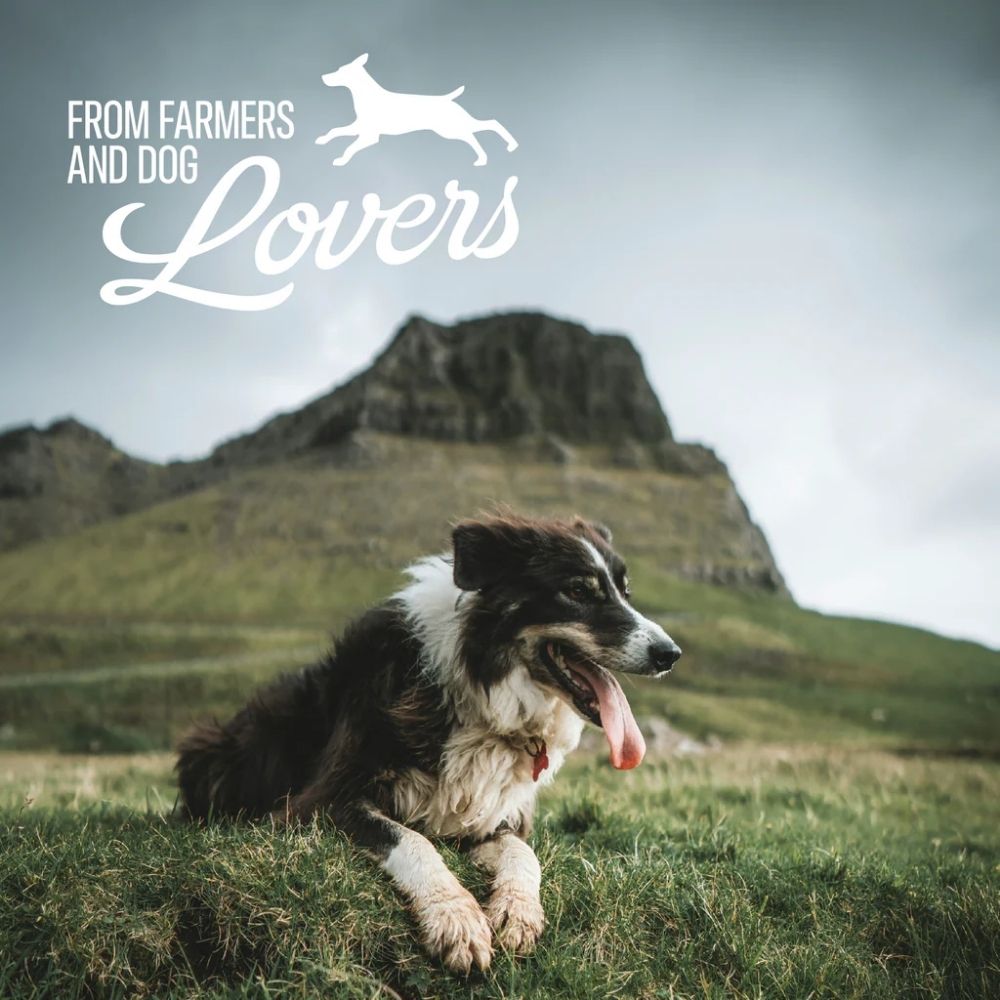 BAFFS NATURALS All-Natural Premium Lamb Ear Dog Chews – (3.5oz Bag)