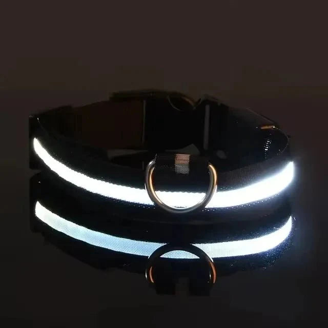 LED Dog Collar | Nylon Light-Up Safety Collar with Reflective Glow and 3 Flashing Modes Battery White
