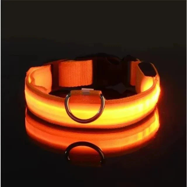 LED Dog Collar | Nylon Light-Up Safety Collar with Reflective Glow and 3 Flashing Modes Battery Orange