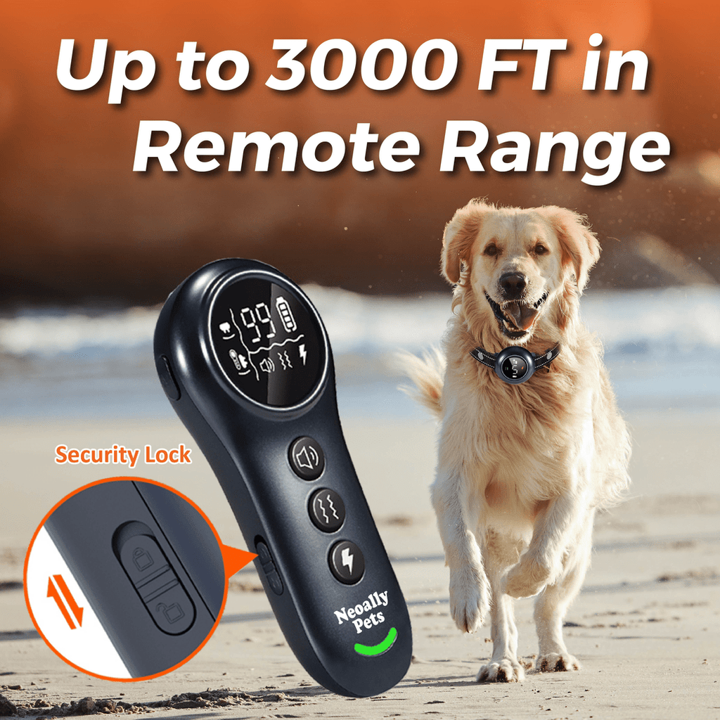 NeoAlly 2-in-1 Dog Training & Bark Control Collar – 3000FT Remote, IP67 | 5–150lbs