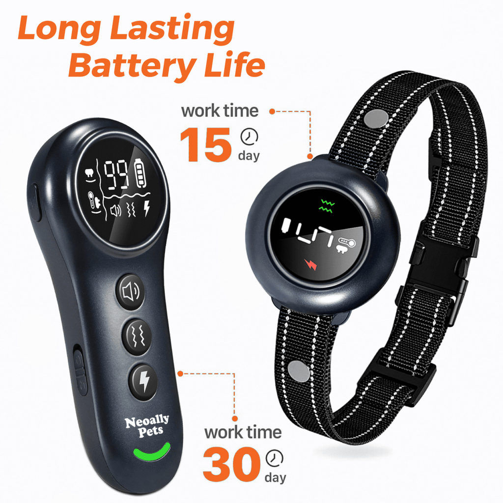 NeoAlly 2-in-1 Dog Training & Bark Control Collar – 3000FT Remote, IP67 | 5–150lbs