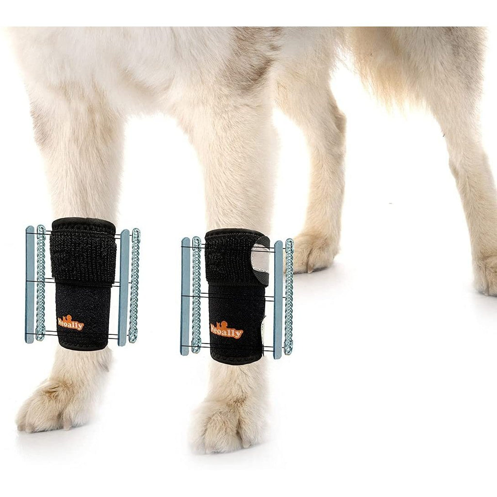 NeoAlly 3-in-1 Front Leg Dog Splint Brace: Rigid & Spring Inserts, Safety Reflective Straps (Pair) L XL