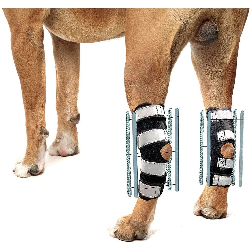 NeoAlly 3-in-1 Long Rear Leg Hock Brace - Rigid and Spring Inserts | Safety Reflective Straps [Long Version] (Pair) X Large