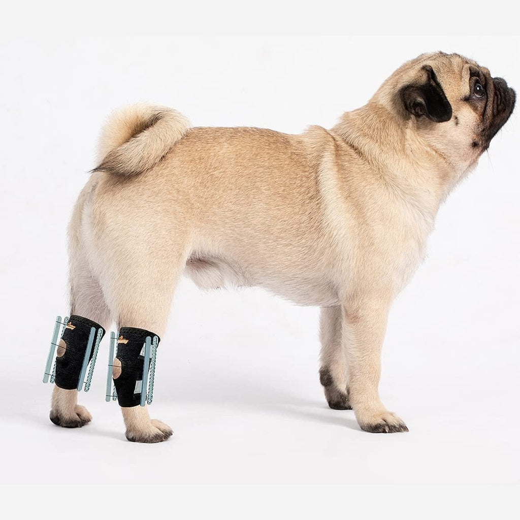 NeoAlly 3-in-1 Short Rear Leg Hock Brace for Smaller Dogs with Rigid and Spring Inserts | Safety Reflective Straps [Short Version] (Pair) X Large