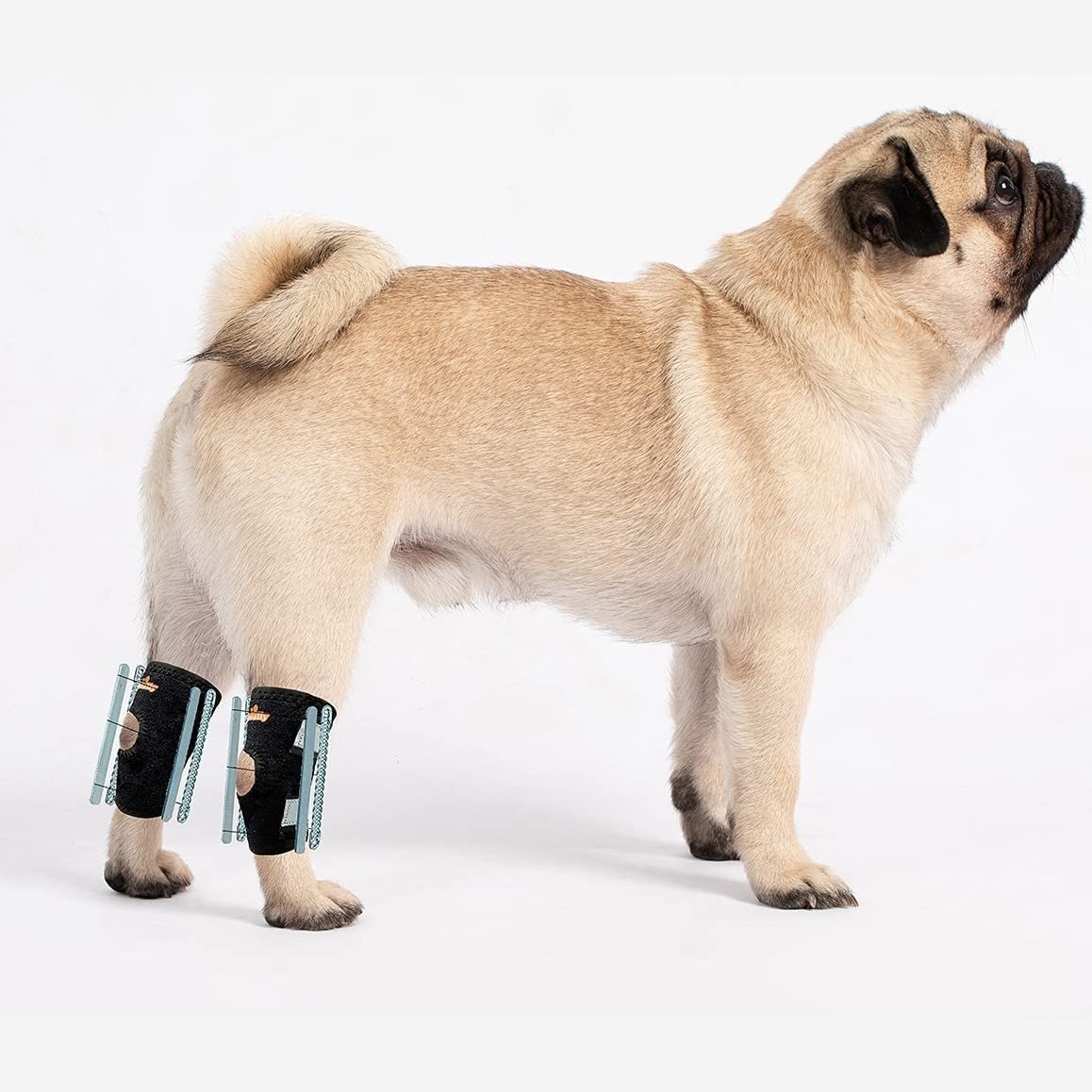 NeoAlly 3-in-1 Short Rear Leg Hock Brace for Smaller Dogs with Rigid and Spring Inserts | Safety Reflective Straps [Short Version] (Pair) X Large