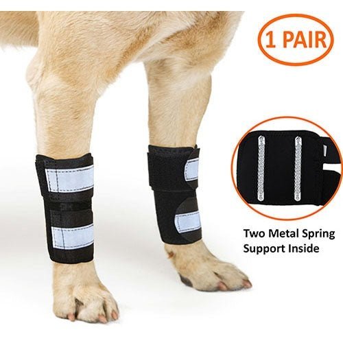 NeoAlly Dog Front Leg Brace with Reflective Straps - Metal Spring Inserts for Carpal Support (Pair) L XL