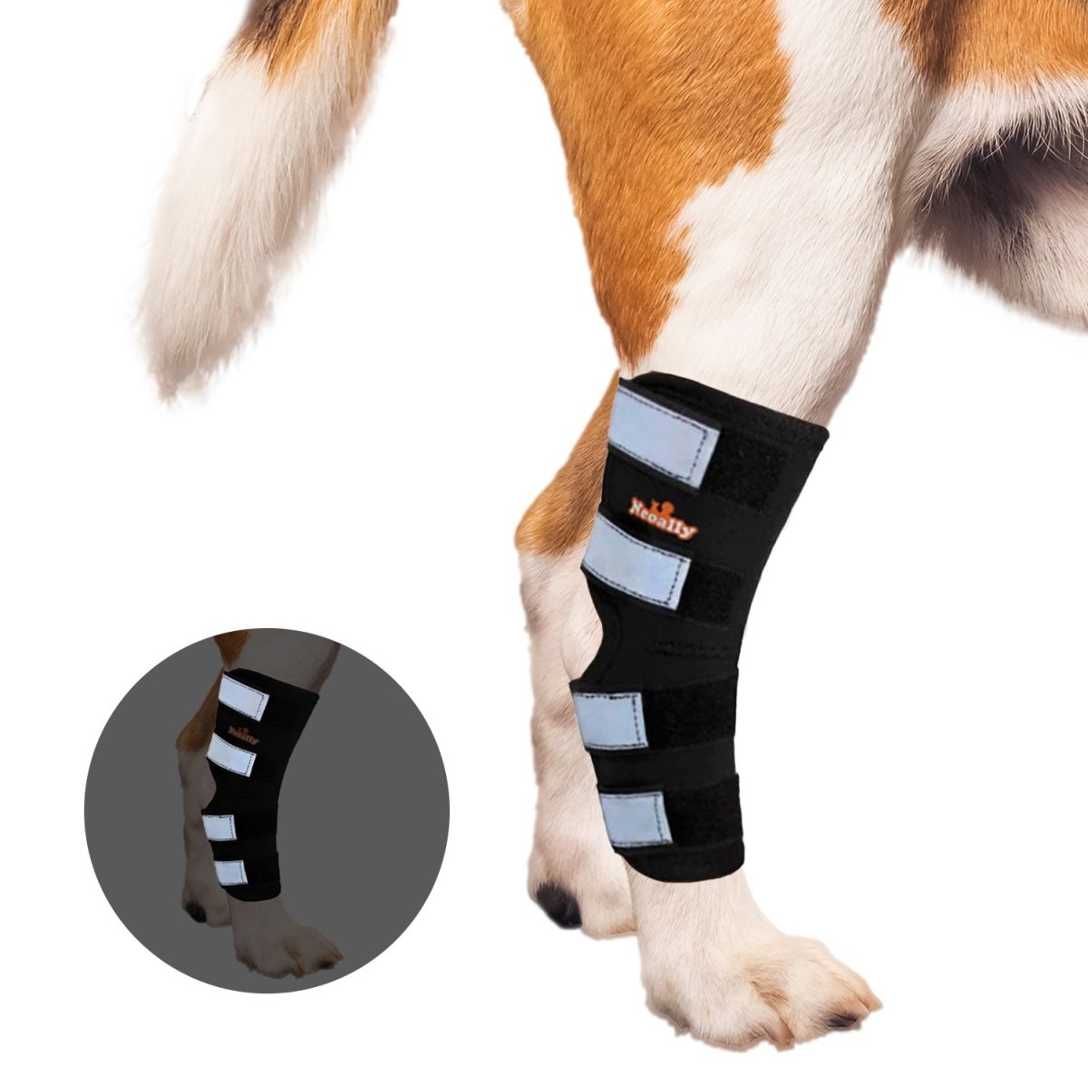 NeoAlly Dog Rear Leg Hock Brace with Safety Reflective Straps for Large Dogs [Long Version] Right