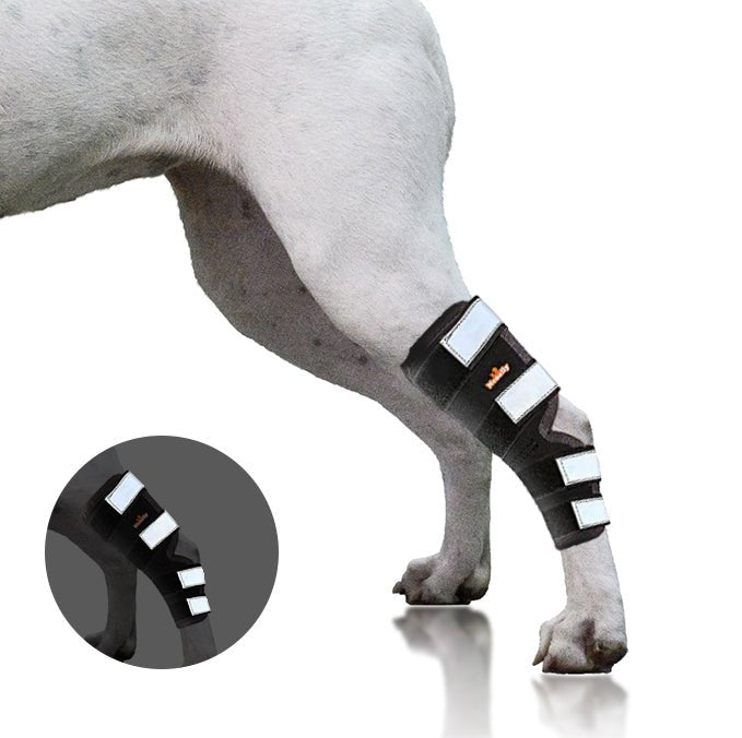 NeoAlly Dog Rear Leg Hock Brace with Safety Reflective Straps for Large Dogs [Long Version] Left