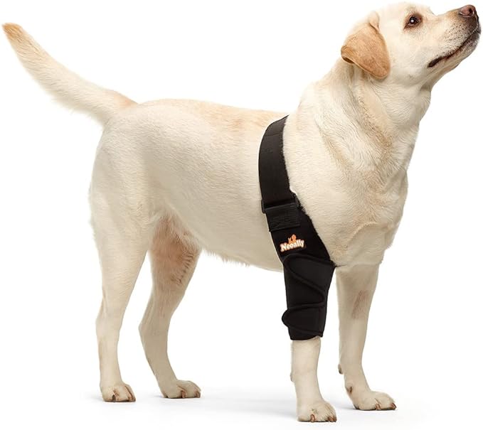 NeoAlly Elbow and Shoulder Brace for Dogs and Cats - Optimal Support for Pet Mobility Right Leg