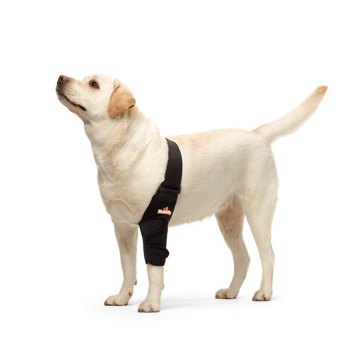 NeoAlly Elbow and Shoulder Brace for Dogs and Cats - Optimal Support for Pet Mobility Left Leg