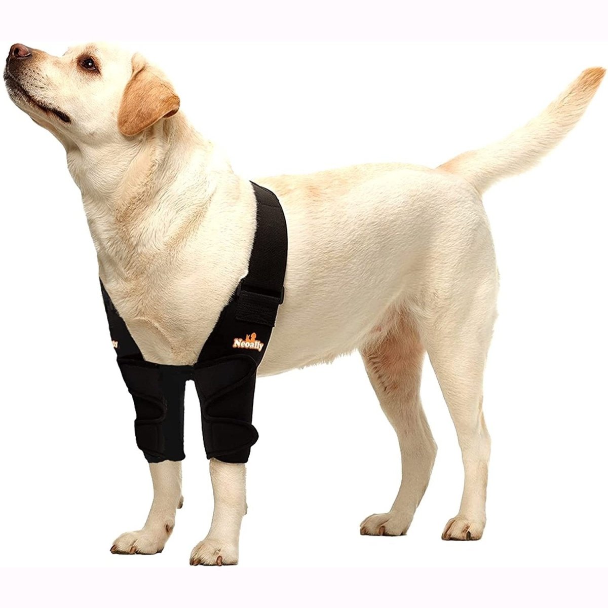 NeoAlly Elbow and Shoulder Brace for Dogs and Cats - Optimal Support for Pet Mobility Both Legs