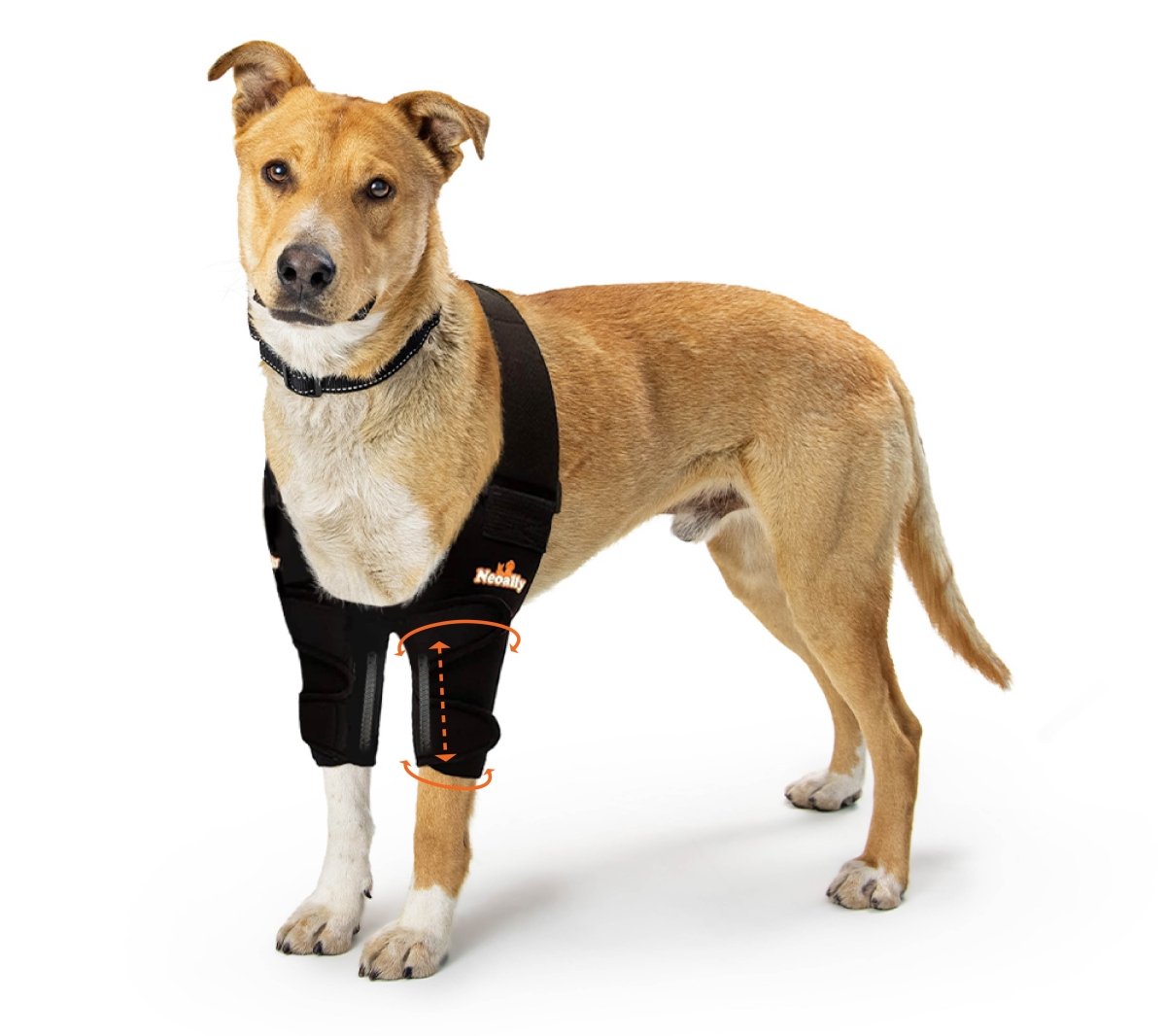 NeoAlly Elbow and Shoulder Brace with Spring Inserts for Dogs and Cats - Enhance Pet Mobility with Optimal Support Both