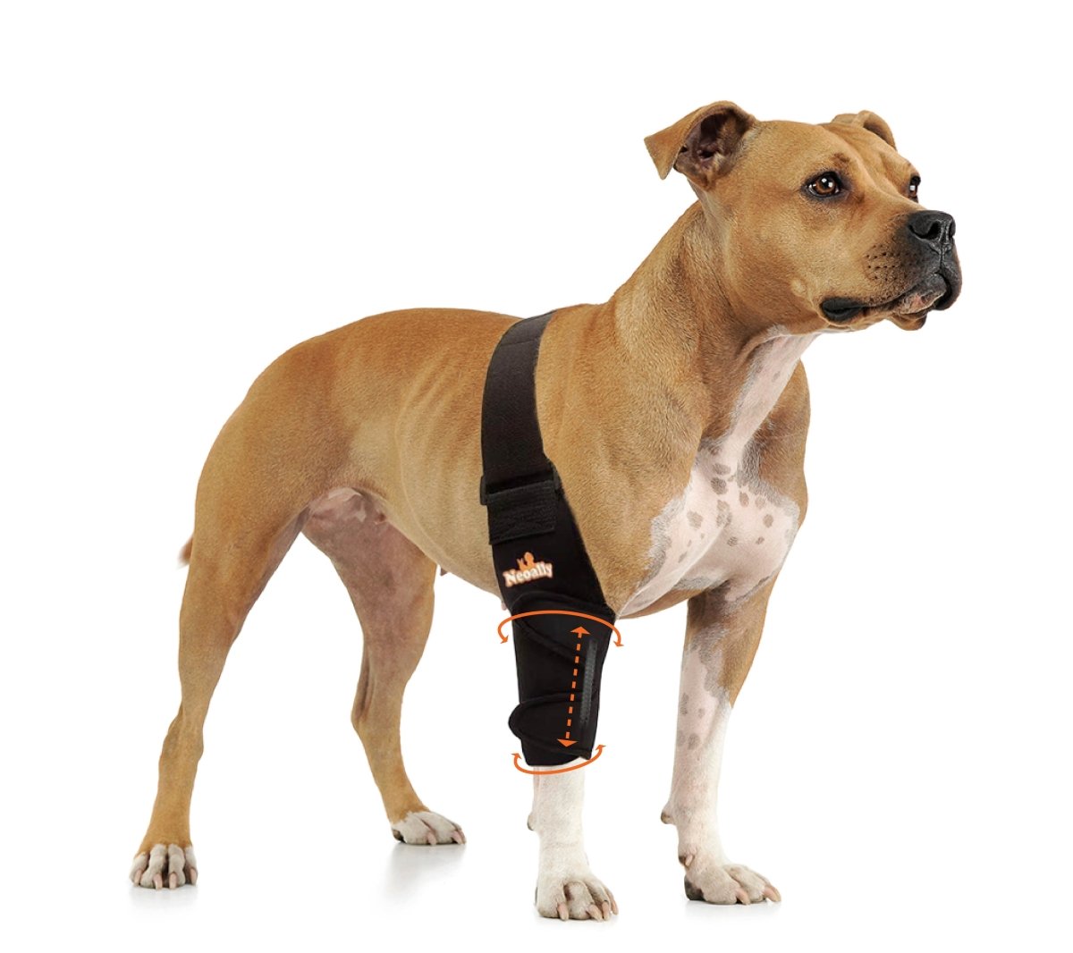 NeoAlly Elbow and Shoulder Brace with Spring Inserts for Dogs and Cats - Enhance Pet Mobility with Optimal Support Right