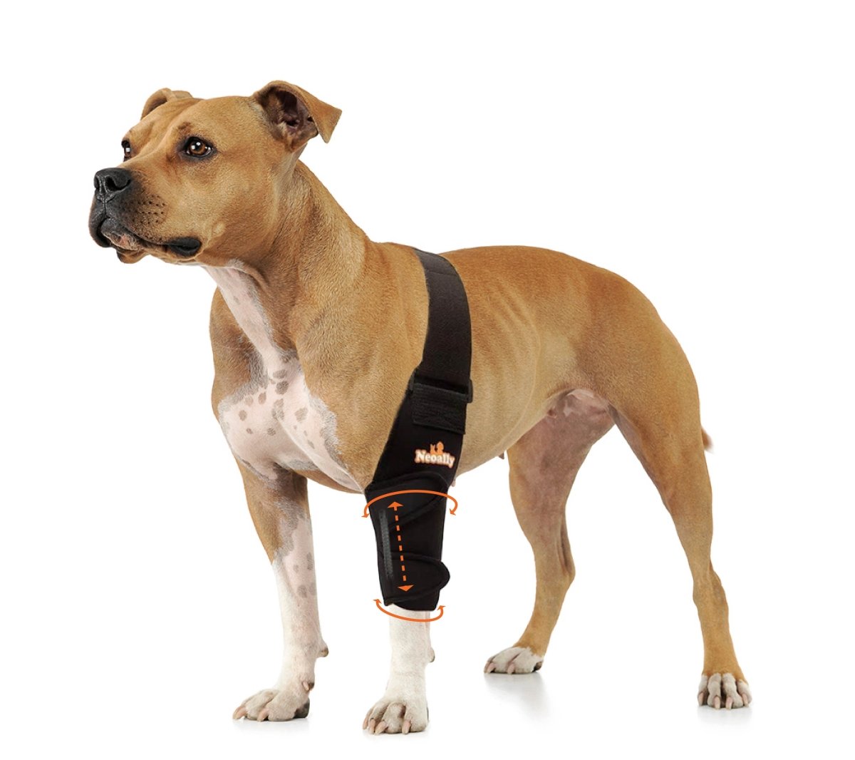 NeoAlly Elbow and Shoulder Brace with Spring Inserts for Dogs and Cats - Enhance Pet Mobility with Optimal Support Left