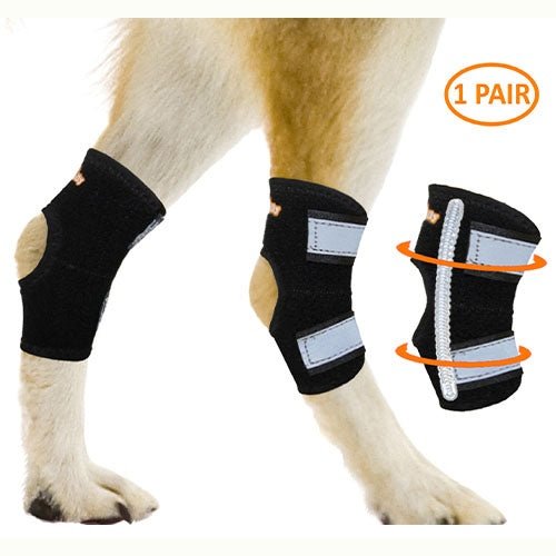 NeoAlly Rear Leg Hock Brace - Metal Spring Strips for Small Dogs [Short Version] (Pair) X Large