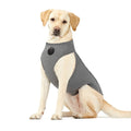 NeoAlly Upgraded Dog Surgical Recovery Vest for Dogs and Cats X-Large