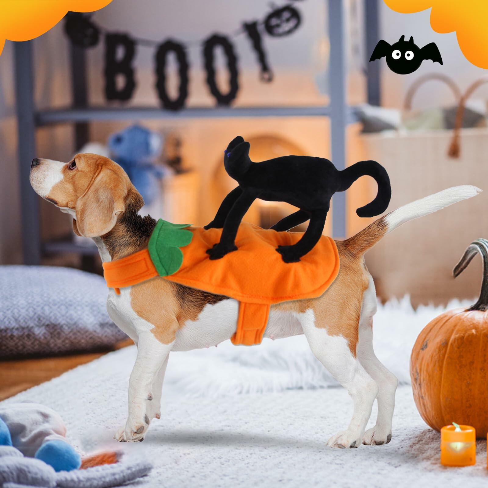 stepsin Dog Saddle Halloween Cat Knight Cosplay Costume Polyester Size S