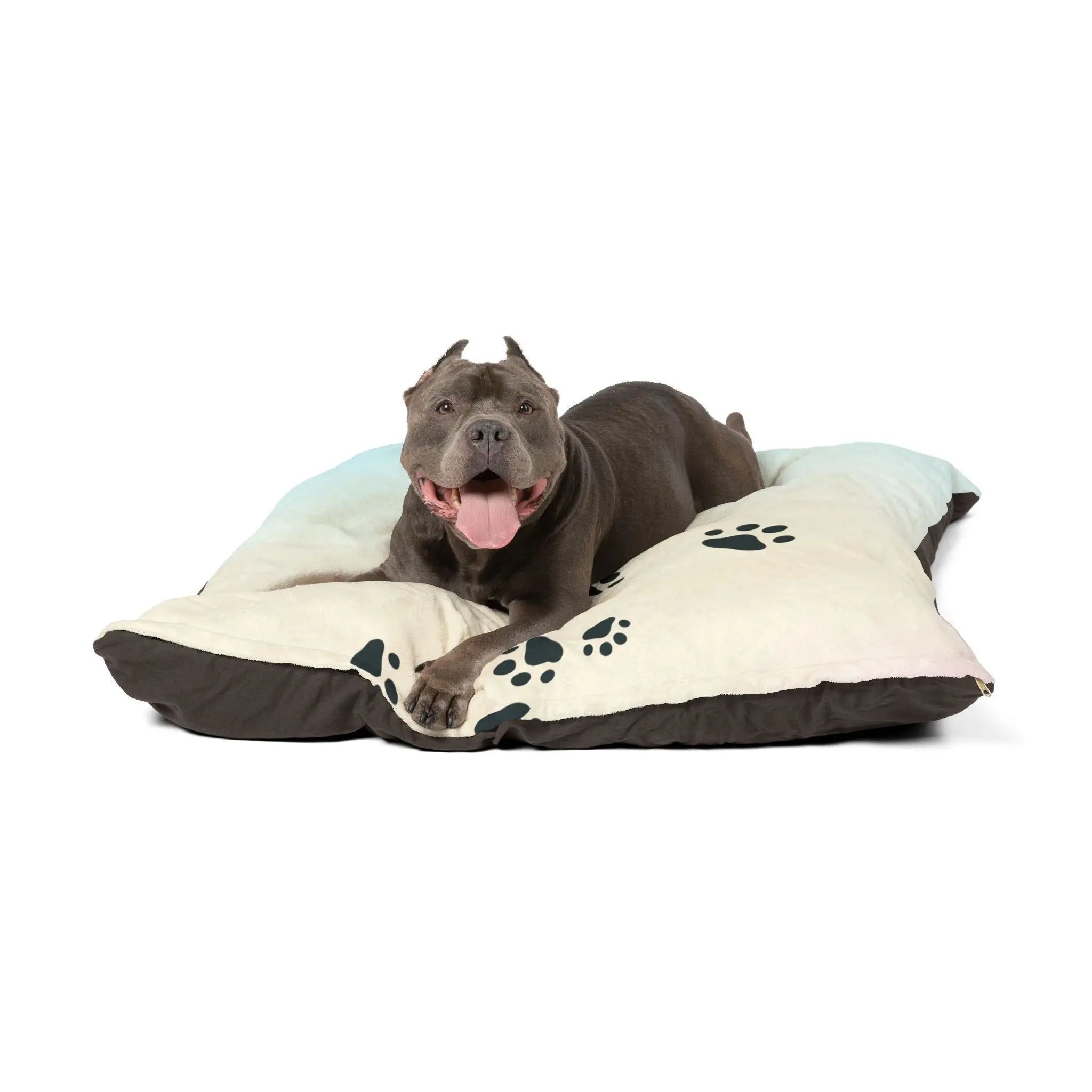 Pastel Paw Print Pet Bed | Cozy Dog & Cat Bed 50" × 40"