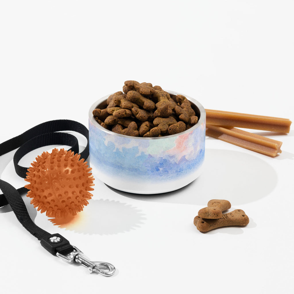 Sebastian & Clementine Venice Pet Bowl