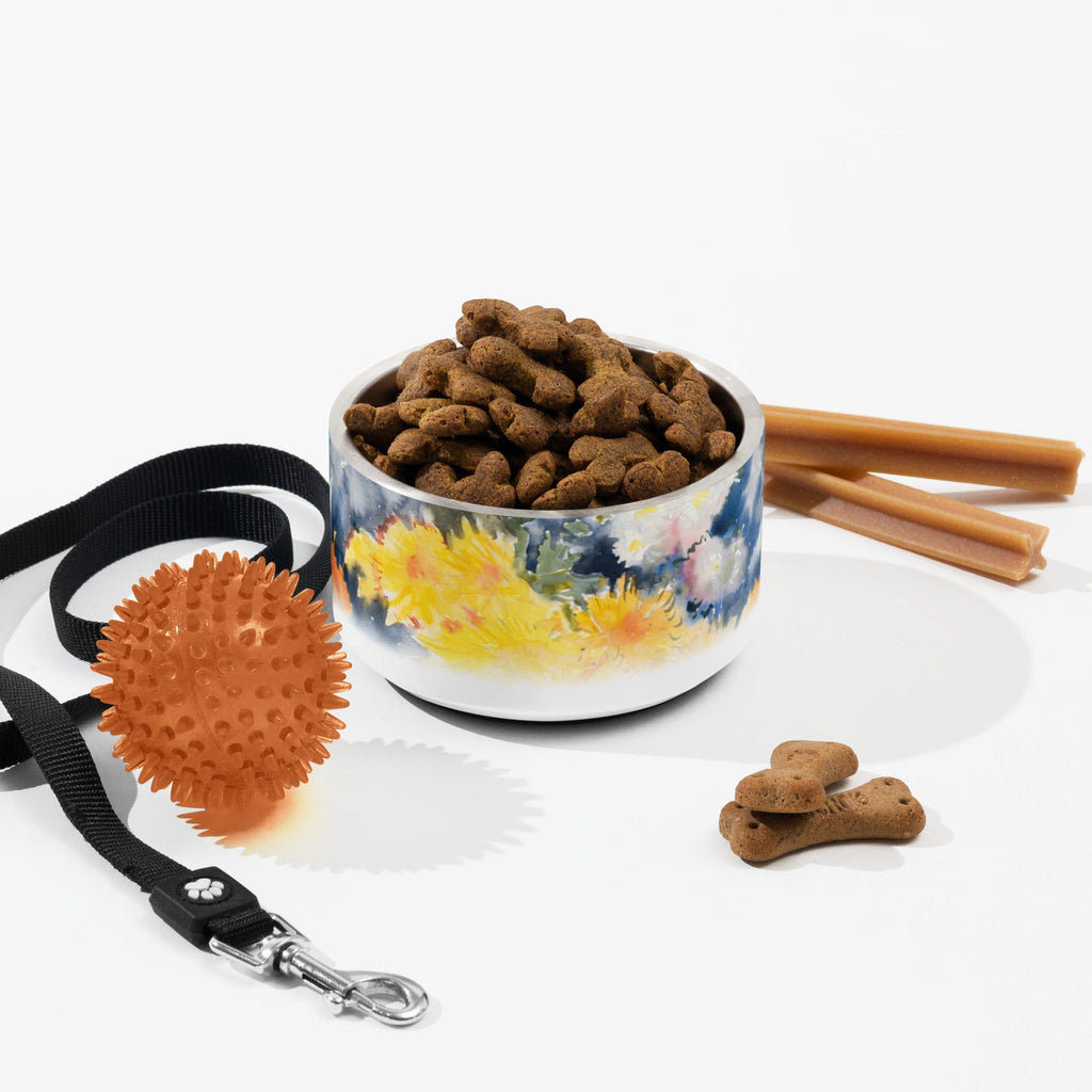 Sebastian & Clementine Yellow and Blue Pet Bowl