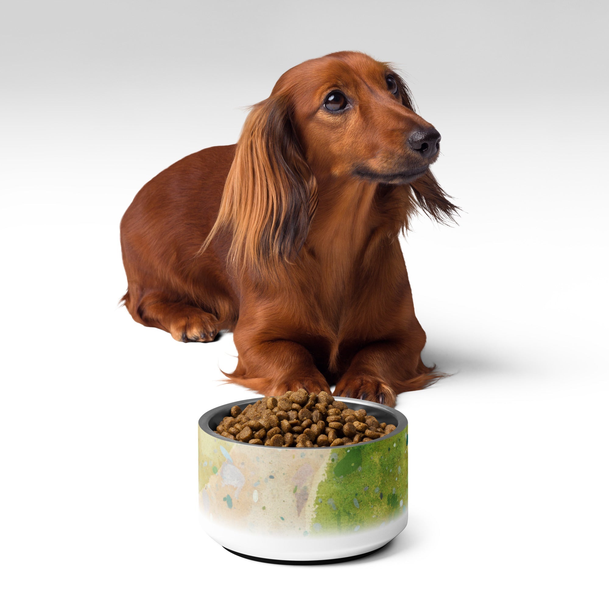 Sebastian & Clementine Road Through The Forest Pet Bowl