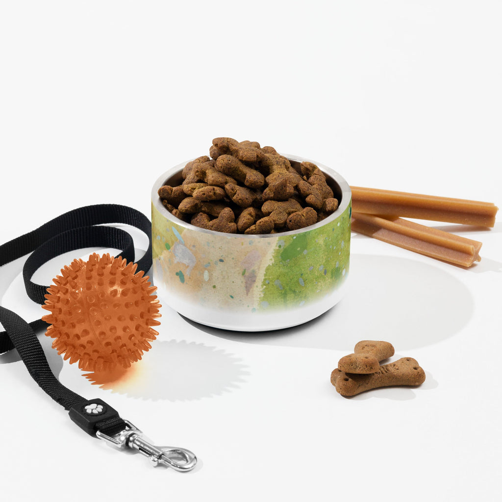 Sebastian & Clementine Road Through The Forest Pet Bowl