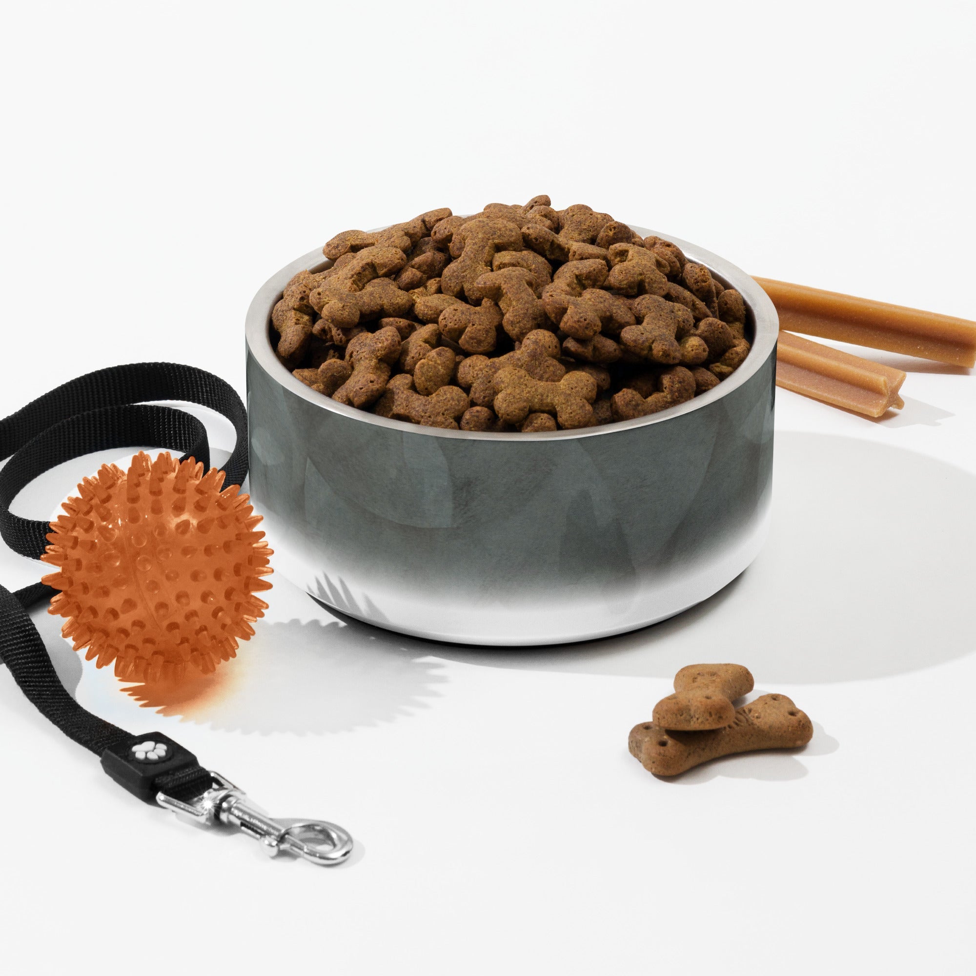Sebastian & Clementine Gray Circles Pet Bowl 32 oz