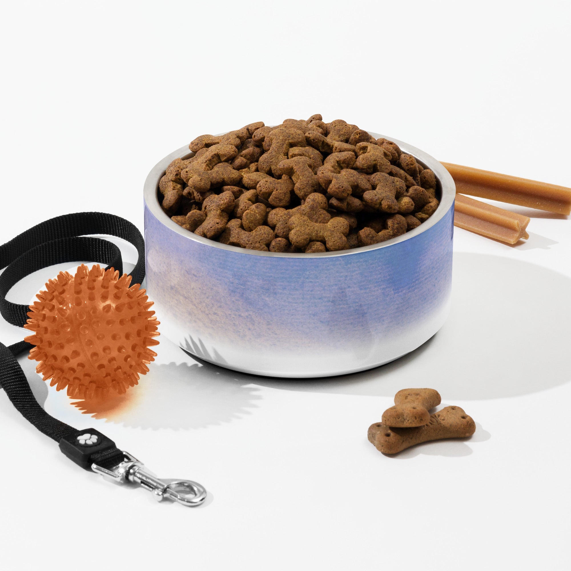 Sebastian & Clementine Venice Pet Bowl 32 oz