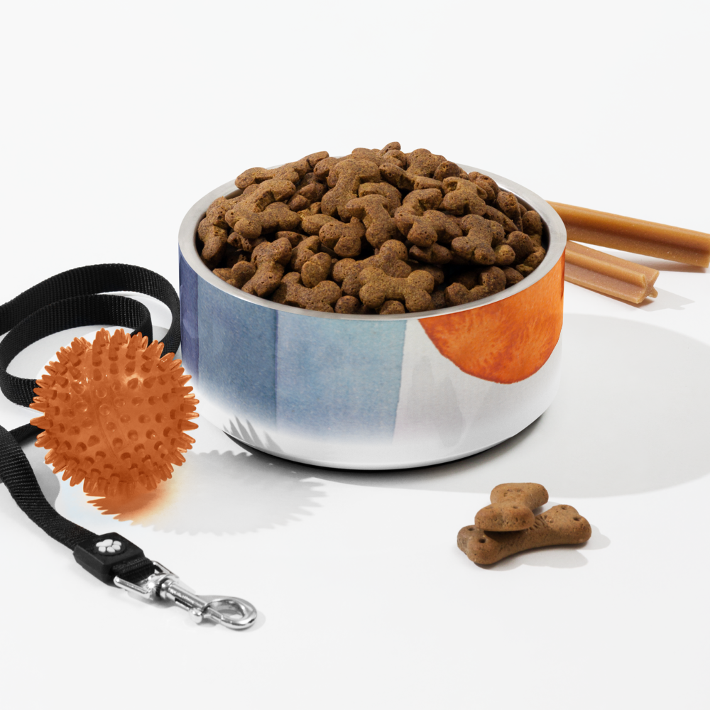 Sebastian & Clementine The Harbinger of Autumn Pet Bowl 32 oz