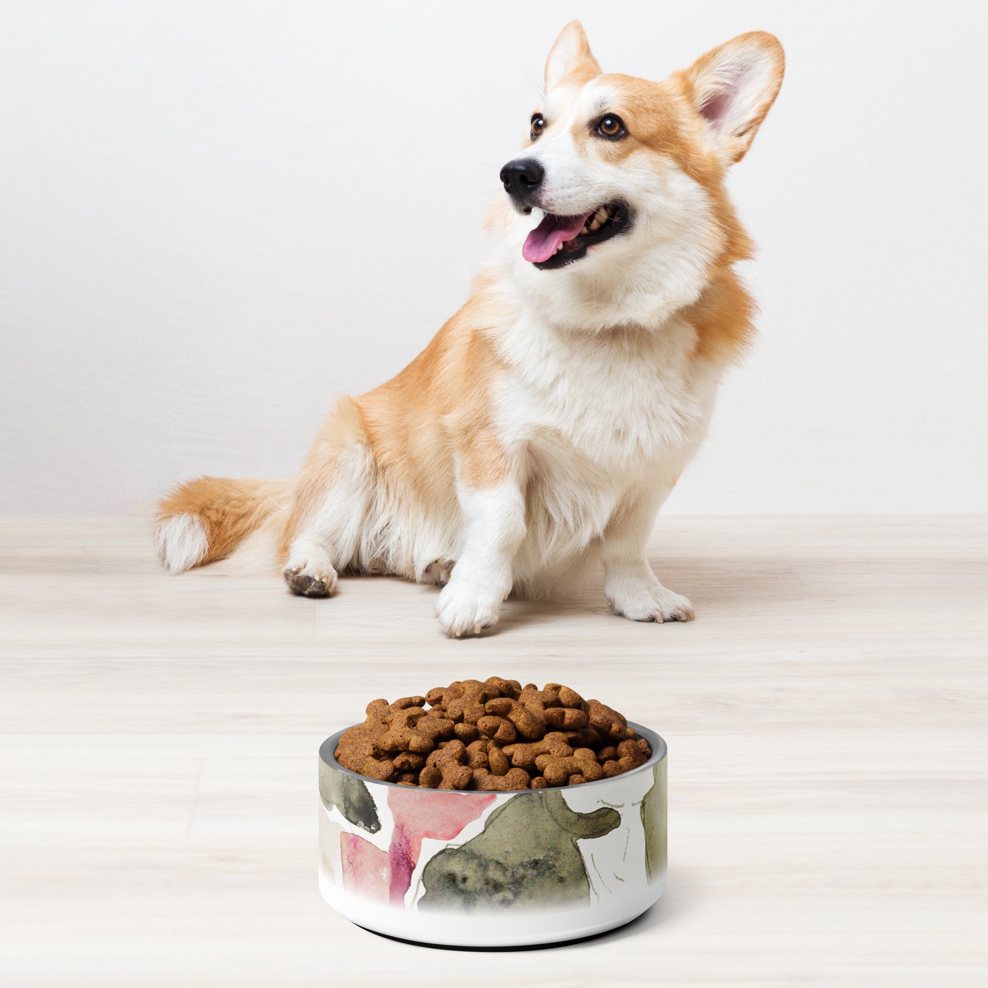 Sebastian & Clementine Studies Pet Bowl 32 oz