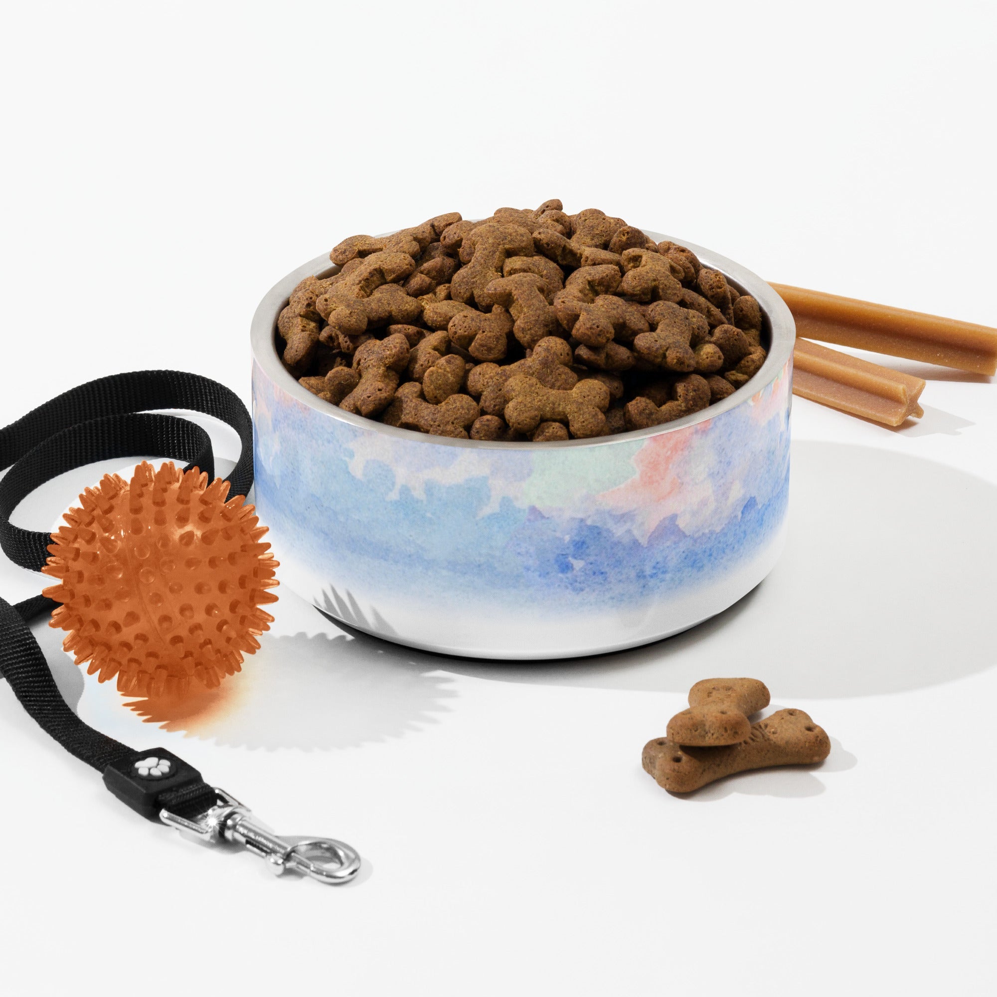 Sebastian & Clementine Venice Pet Bowl 32 oz