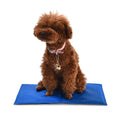Pet Cooling Mat S