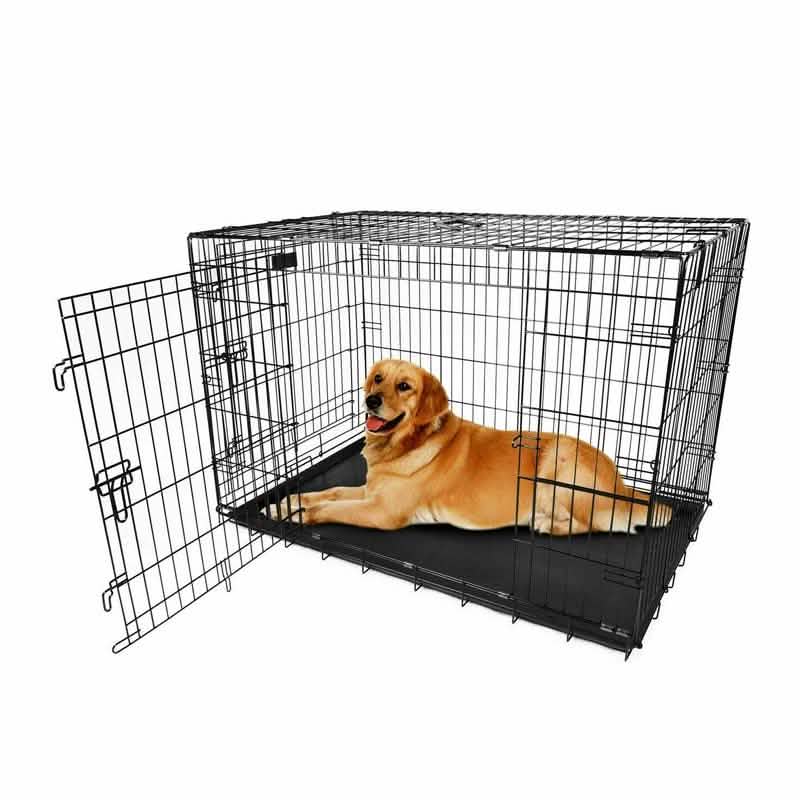 Pet Crates Folding Metal - Assorted Sizes 36"