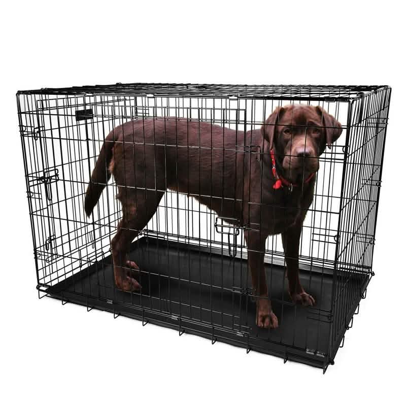 Pet Crates Folding Metal - Assorted Sizes 42"
