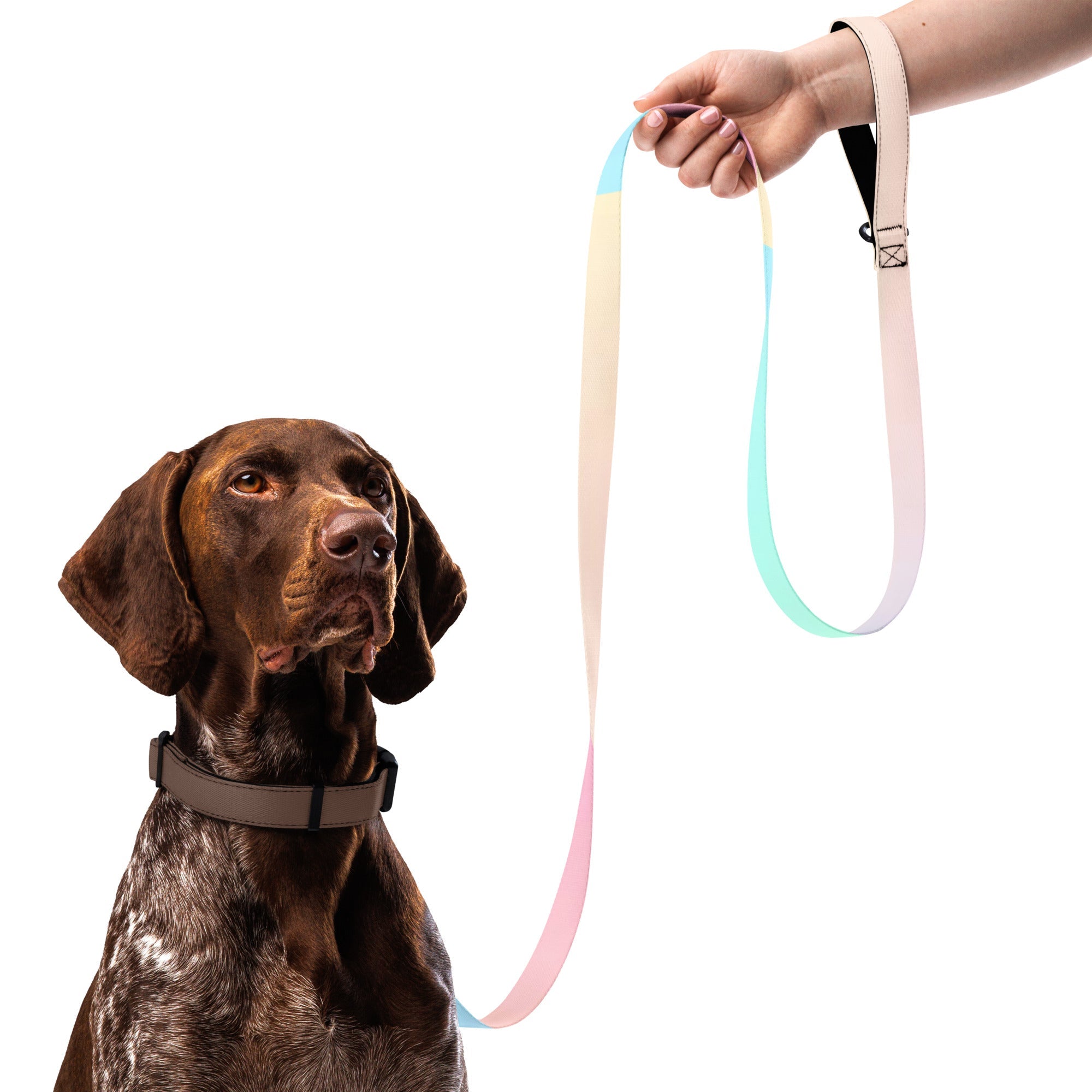 CalmCaress Premium Dog Leash – Padded Handle, 6ft | Durable Polyester Default Title