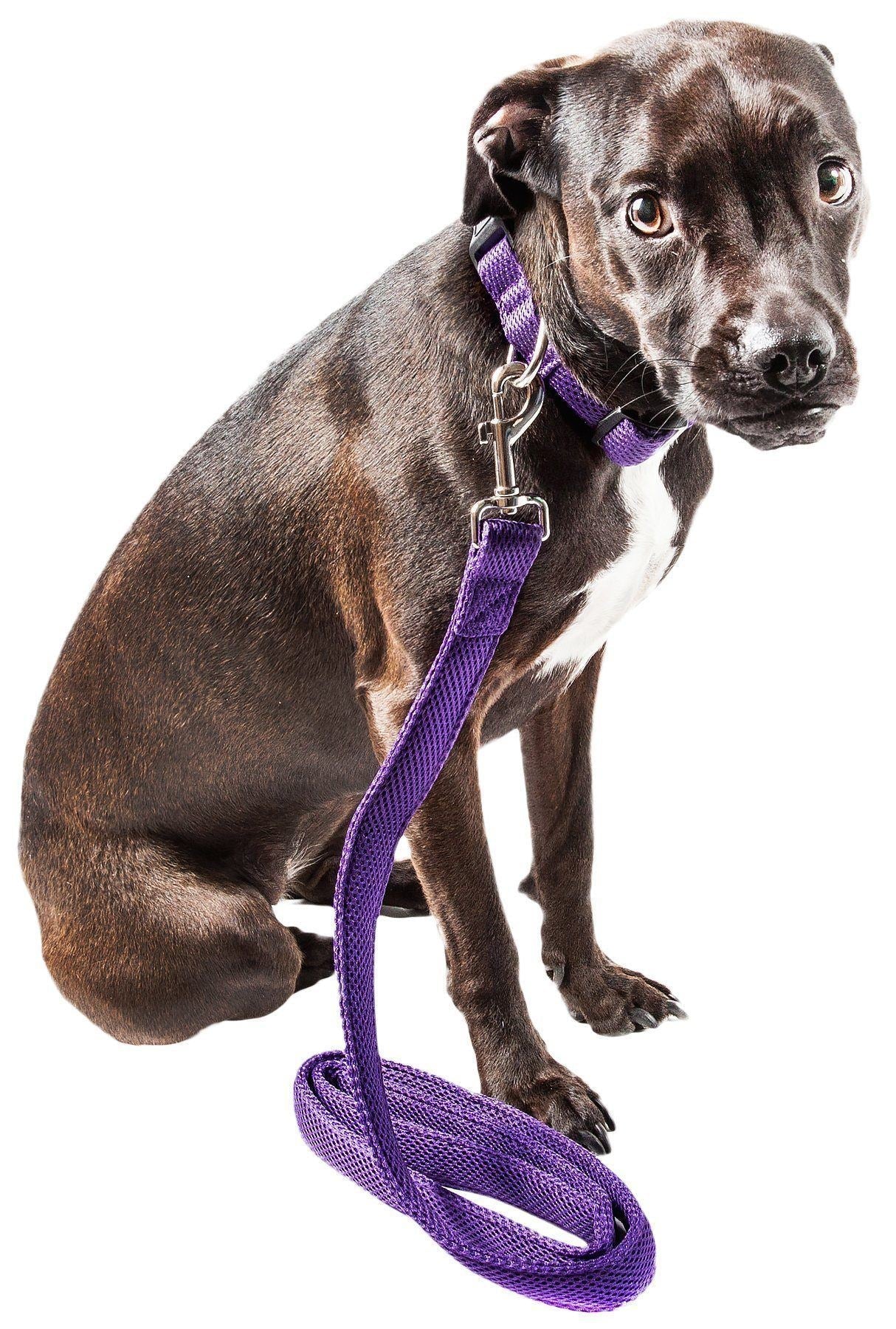 Pet Life ® 'Aero Mesh' 2-In-1 Breathable and Adjustable Dual-Sided Mesh Dog Leash and Collar Purple