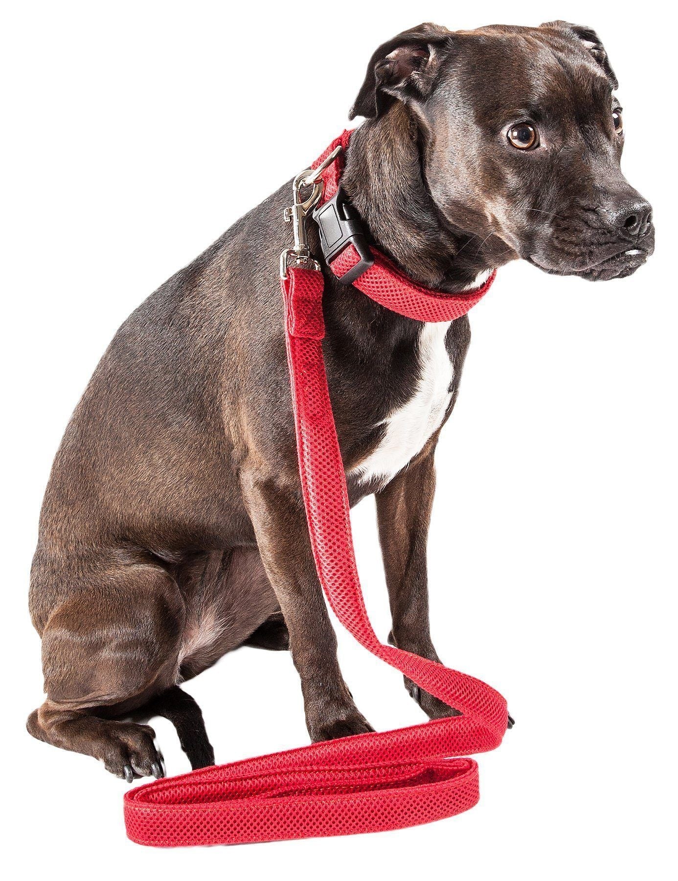 Pet Life ® 'Aero Mesh' 2-In-1 Breathable and Adjustable Dual-Sided Mesh Dog Leash and Collar Red