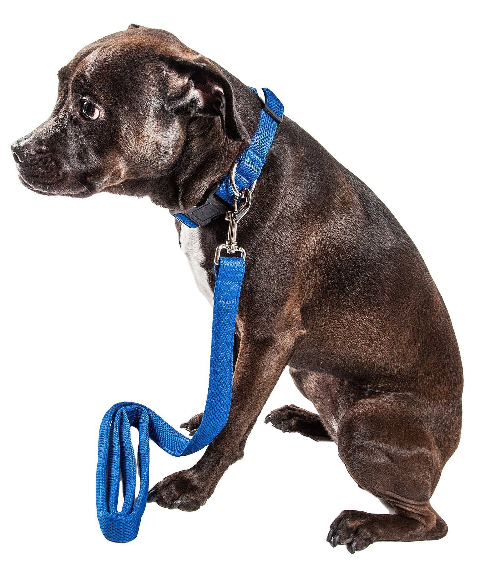 Pet Life ® 'Aero Mesh' 2-In-1 Breathable and Adjustable Dual-Sided Mesh Dog Leash and Collar Blue
