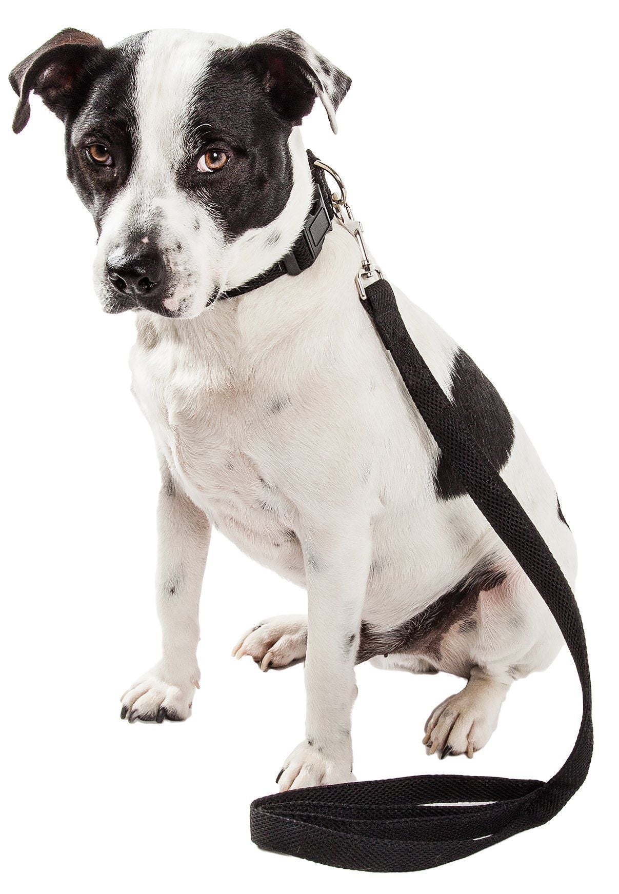 Pet Life ® 'Aero Mesh' 2-In-1 Breathable and Adjustable Dual-Sided Mesh Dog Leash and Collar Black