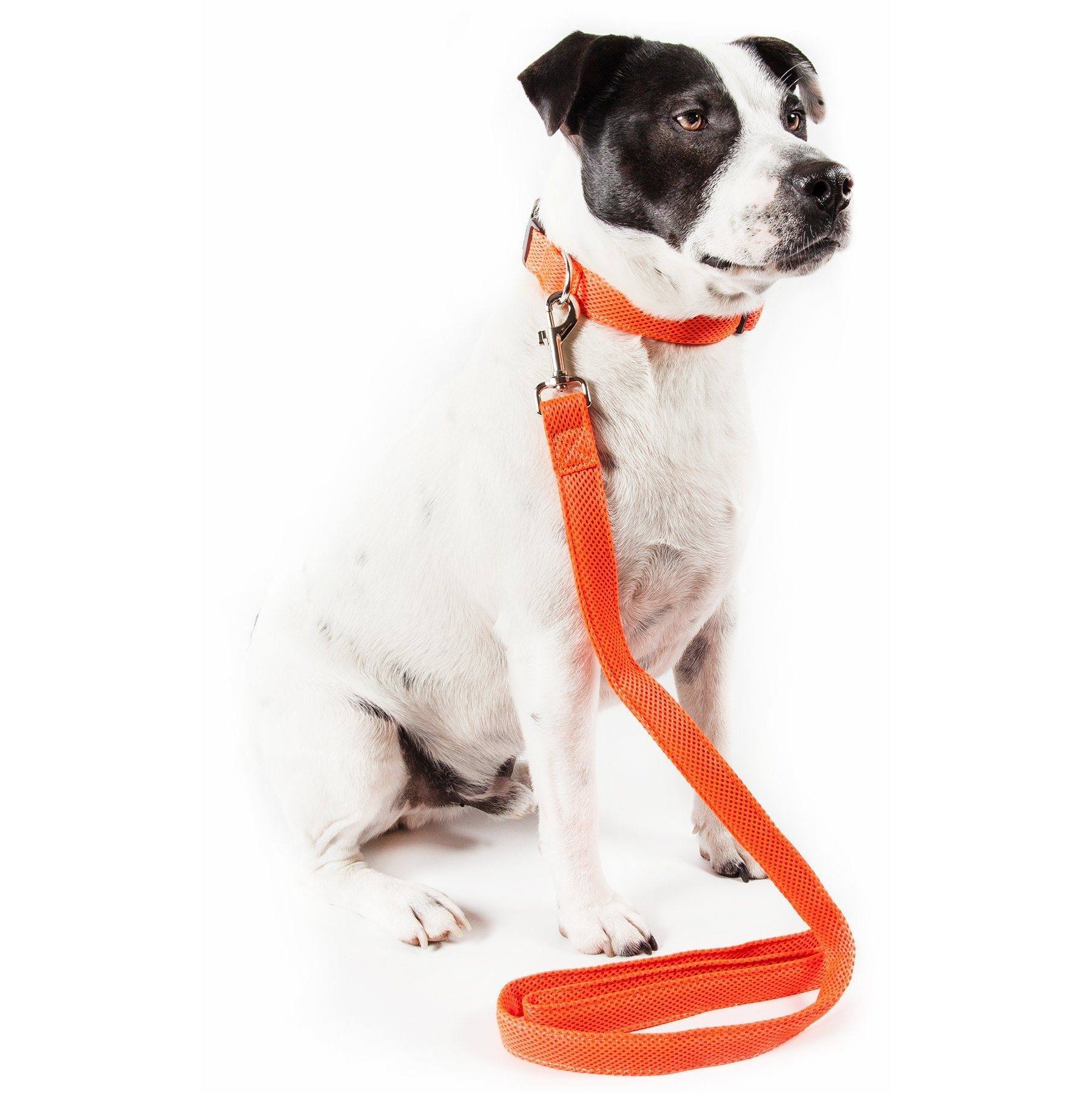 Pet Life ® 'Aero Mesh' 2-In-1 Breathable and Adjustable Dual-Sided Mesh Dog Leash and Collar Orange