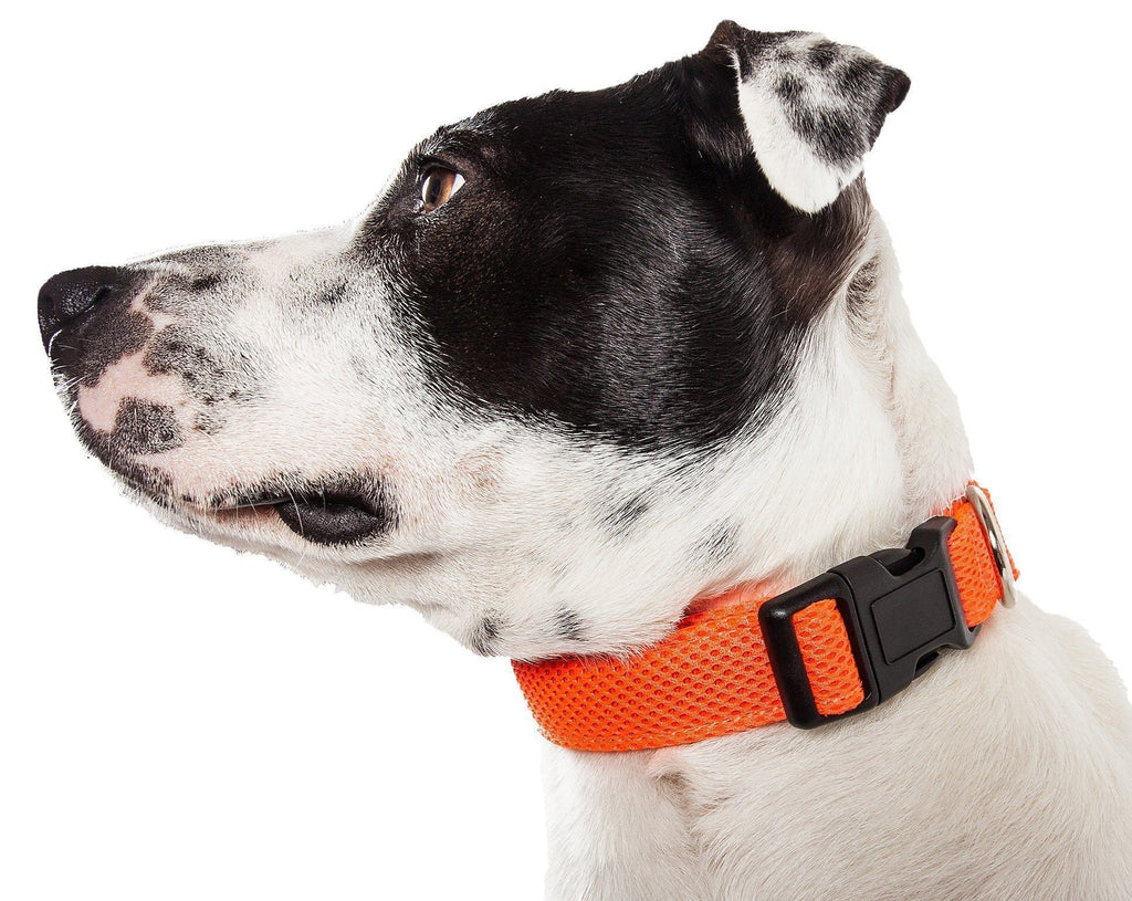 Pet Life ® 'Aero Mesh' Dual-Sided Breathable and Adjustable Thick Mesh Dog Collar