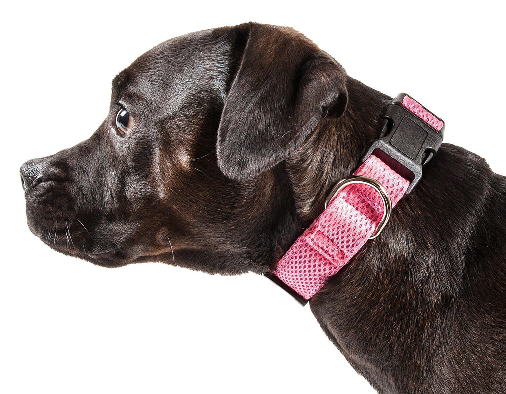 Pet Life ® 'Aero Mesh' Dual-Sided Breathable and Adjustable Thick Mesh Dog Collar
