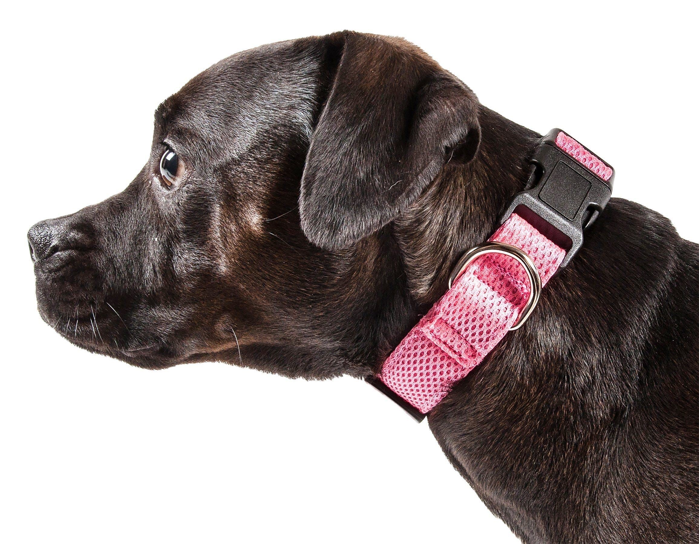 Pet Life ® 'Aero Mesh' Dual-Sided Breathable and Adjustable Thick Mesh Dog Collar