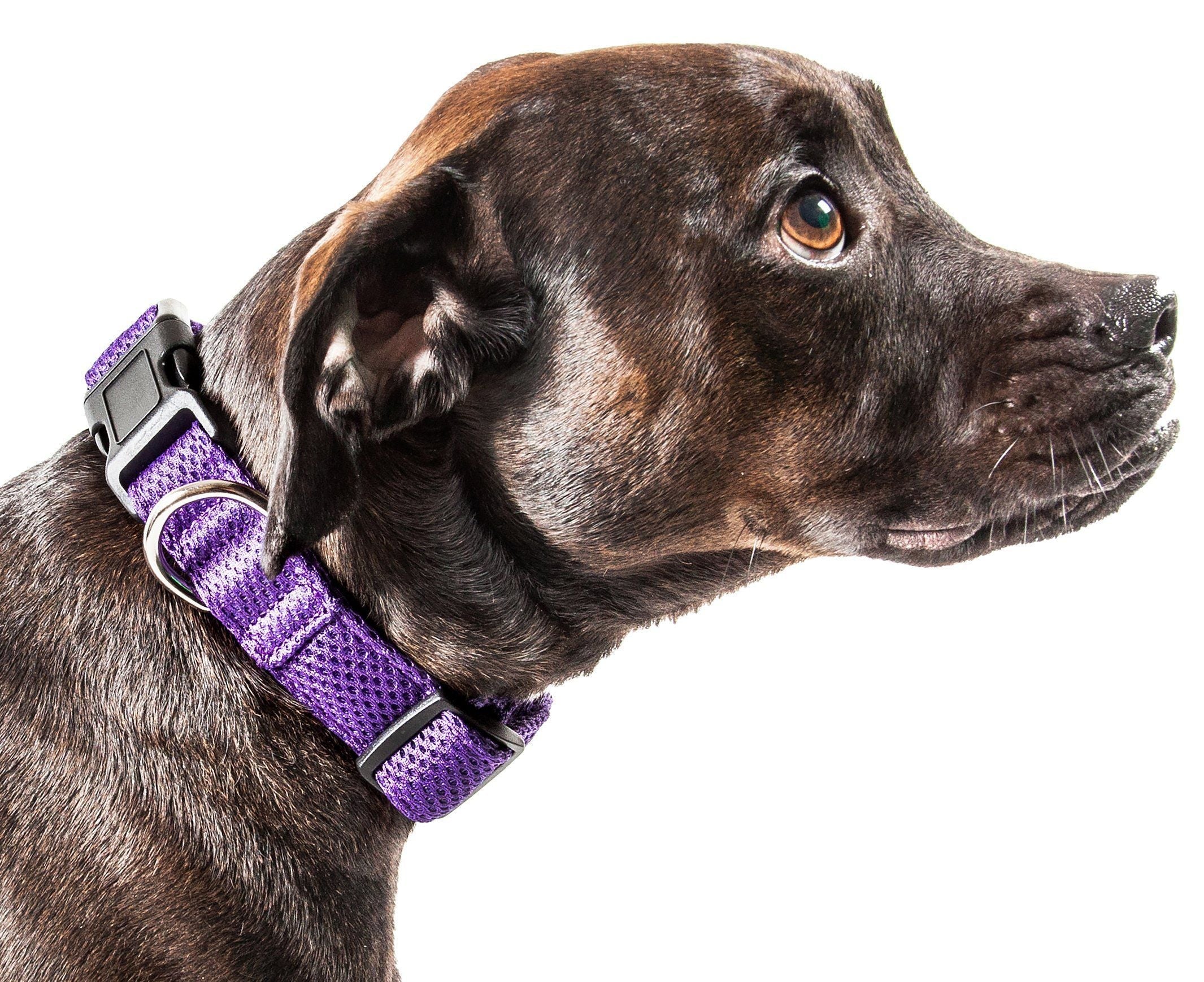 Pet Life ® 'Aero Mesh' Dual-Sided Breathable and Adjustable Thick Mesh Dog Collar