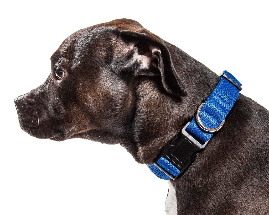 Pet Life ® 'Aero Mesh' Dual-Sided Breathable and Adjustable Thick Mesh Dog Collar