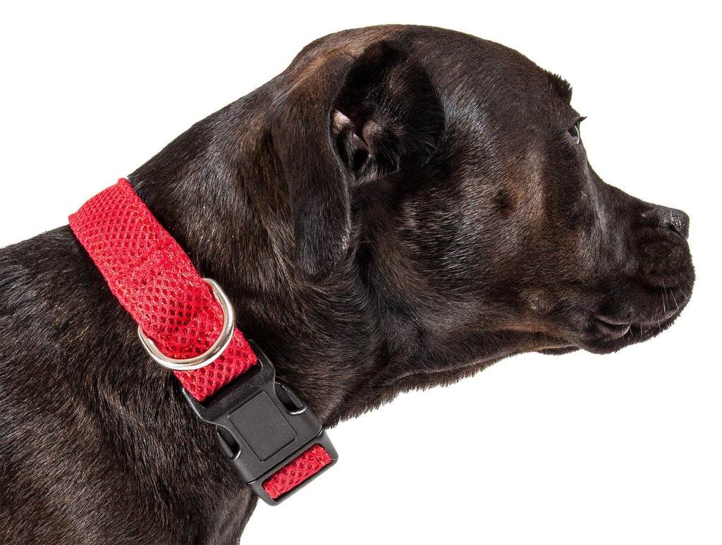 Pet Life ® 'Aero Mesh' Dual-Sided Breathable and Adjustable Thick Mesh Dog Collar