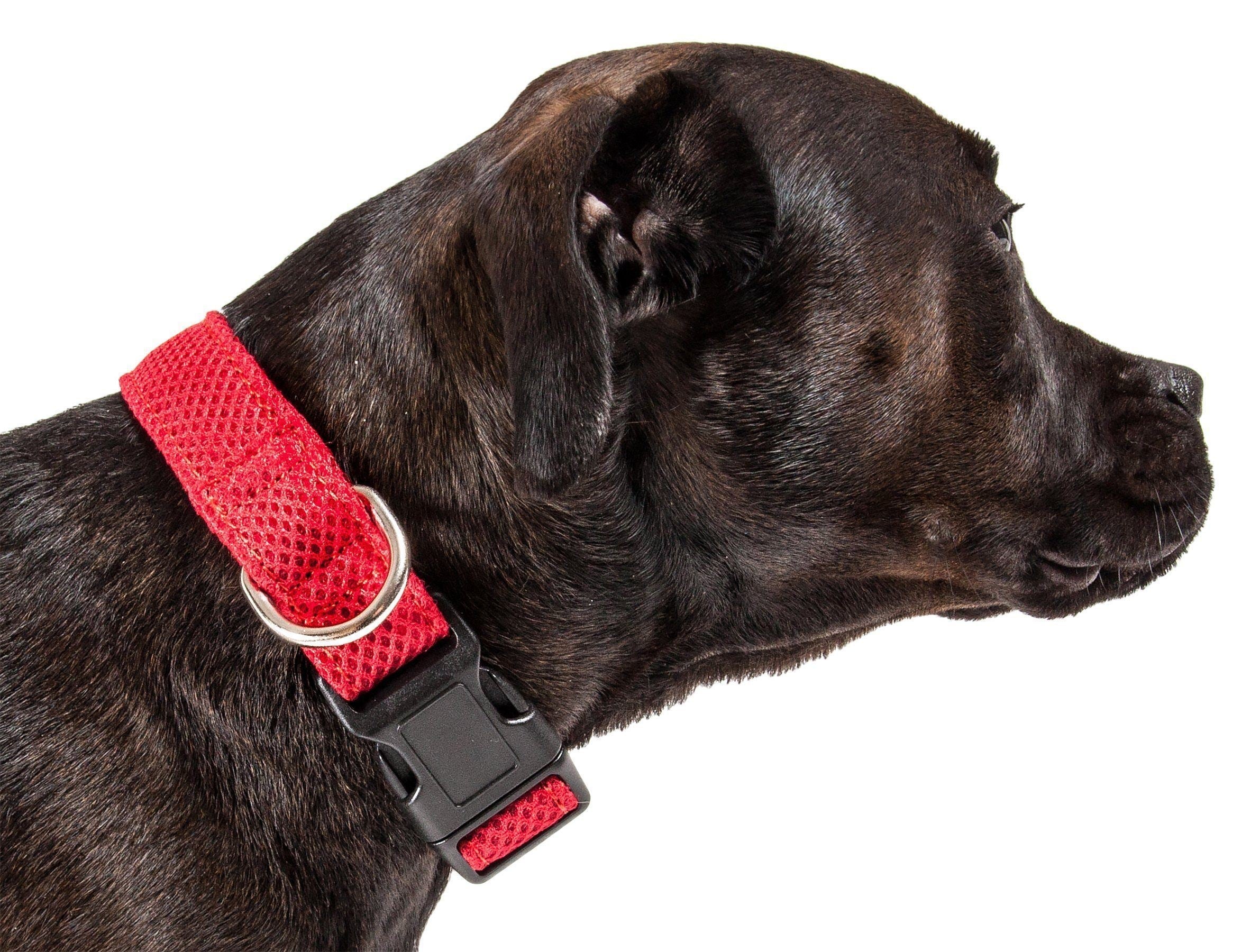 Pet Life ® 'Aero Mesh' Dual-Sided Breathable and Adjustable Thick Mesh Dog Collar