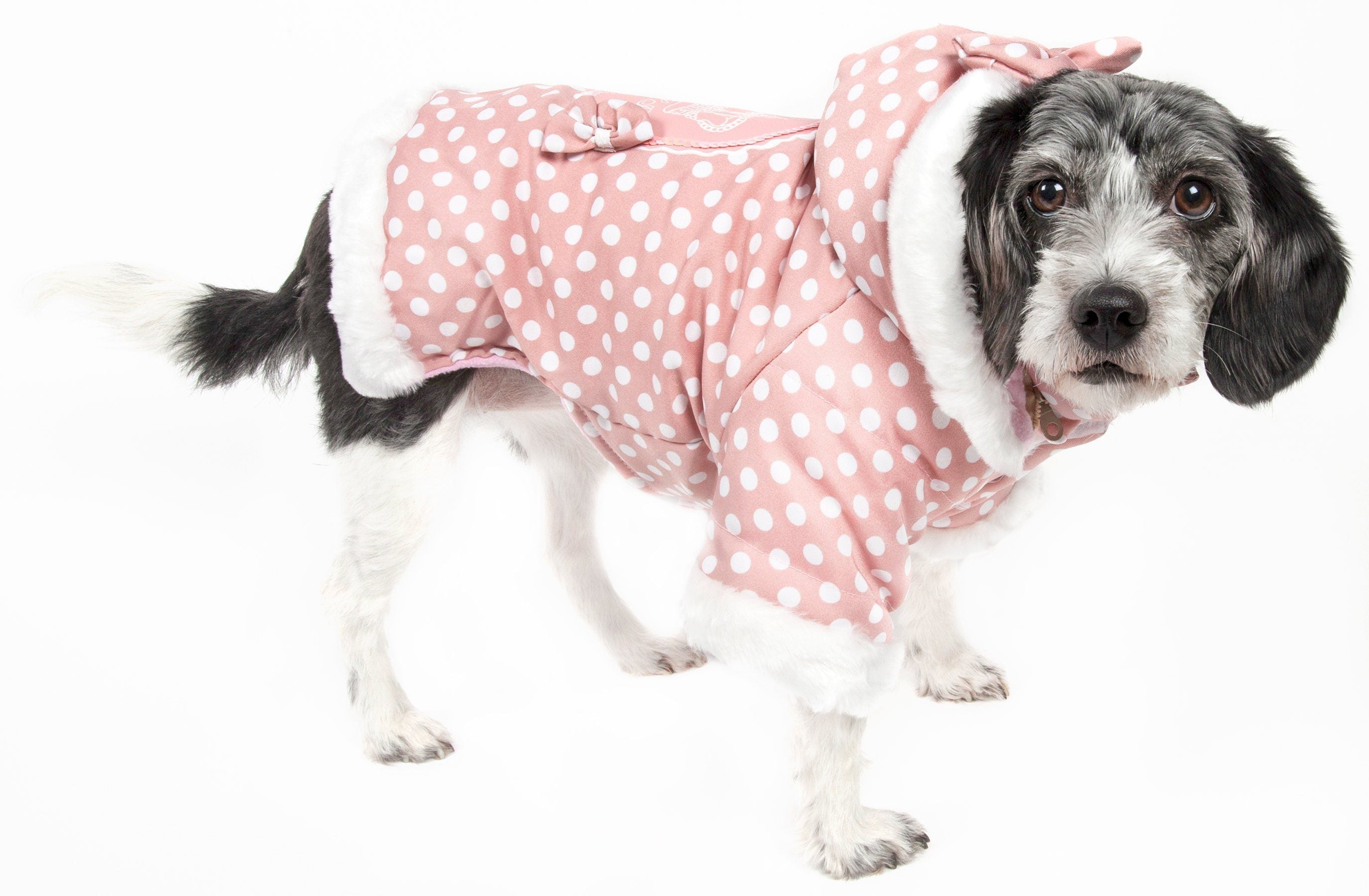 Pet Life ® 'Bow-Couture' Polka-Dot Bowed Insulated Dog Sweater Jacket Pink Polka