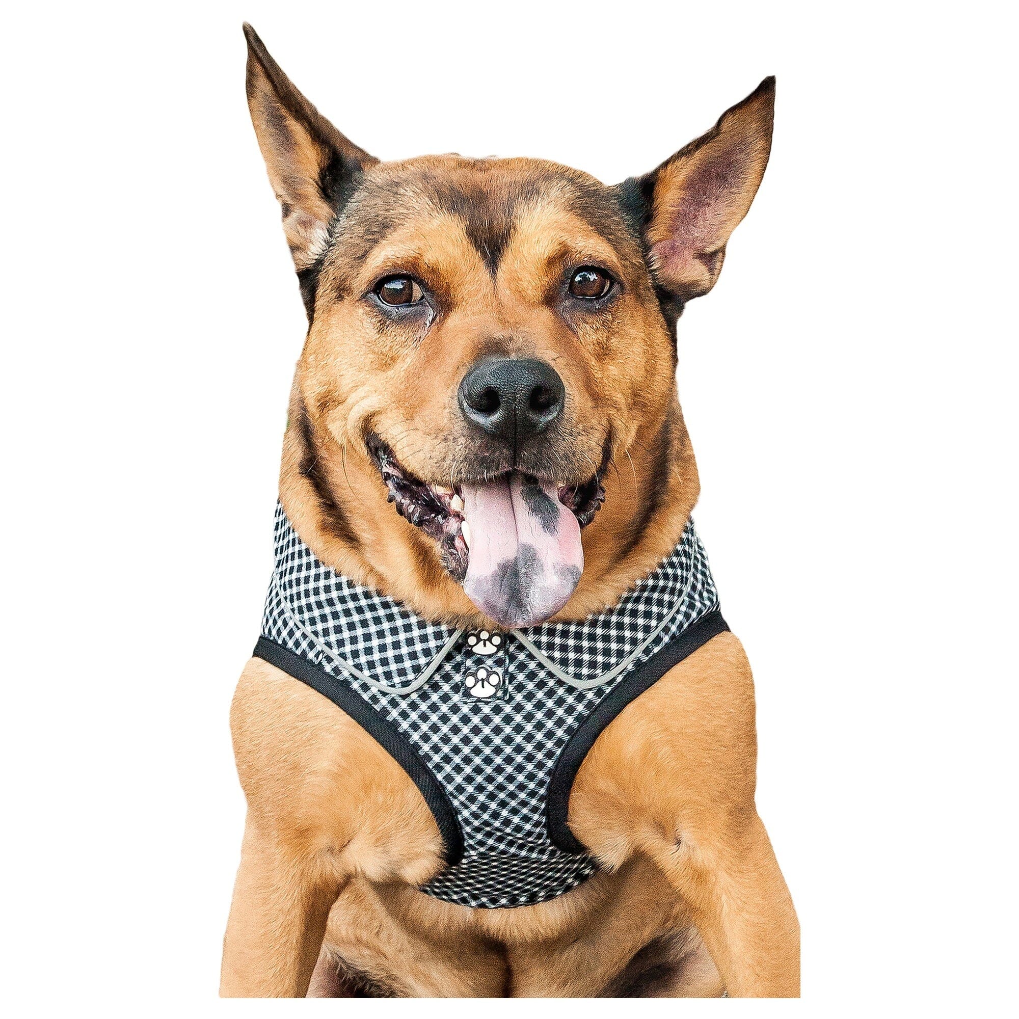 Pet Life ® 'Checkerwag' Checkered Mesh Reversed and Adjustable Fashion Dog Harness Medium