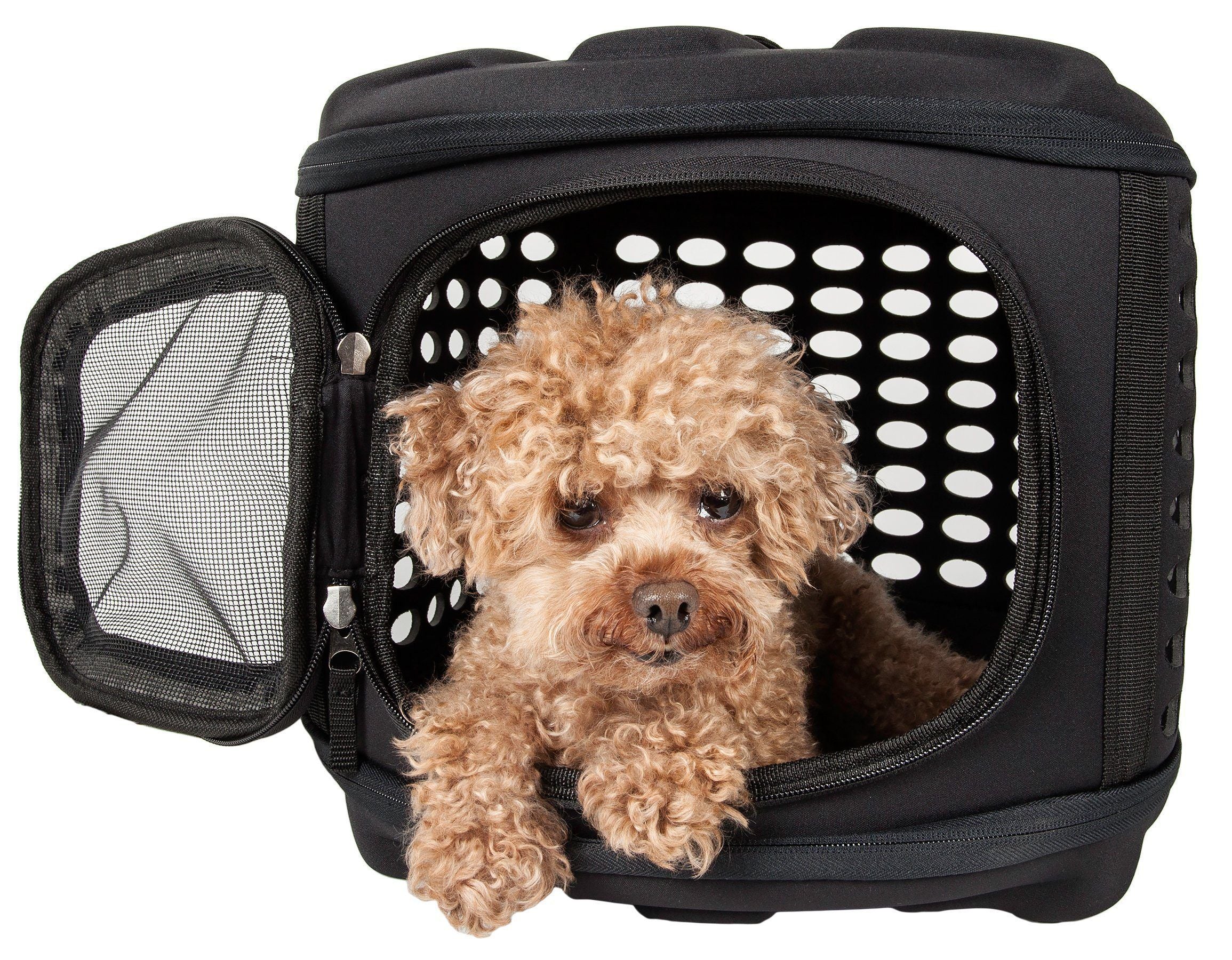 Pet Life ® 'Circular Shelled' Perforated Lightweight Collapsible Military Grade Travel Pet Dog Carrier Charcoal Black
